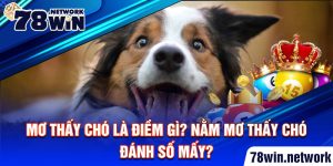 Mơ thấy chó là điềm gì? Nằm mơ thấy chó đánh số mấy?