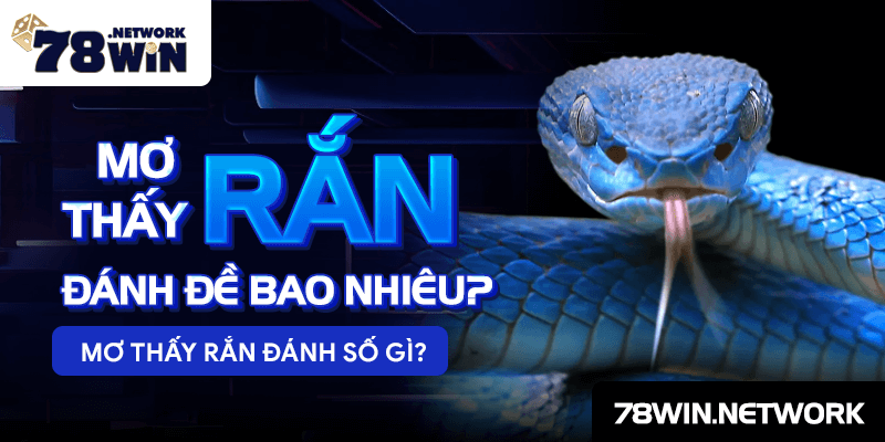 Mơ thấy rắn đánh đề bao nhiêu? Mơ thấy rắn đánh số gì? Mơ thấy rắn đánh đề bao nhiêu? Mơ thấy rắn đánh số gì?