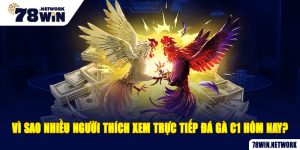 Vì sao nhiều người thích xem trực tiếp đá gà C1 hôm nay?