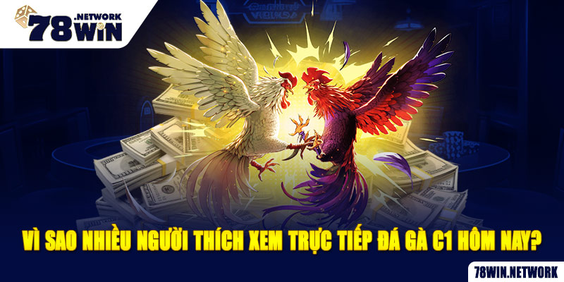Vì sao nhiều người thích xem trực tiếp đá gà C1 hôm nay? Vì sao nhiều người thích xem trực tiếp đá gà C1 hôm nay?